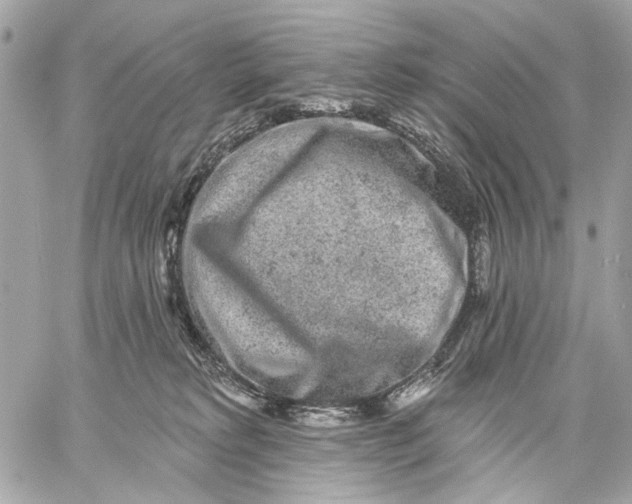 X0000059240229200511041316