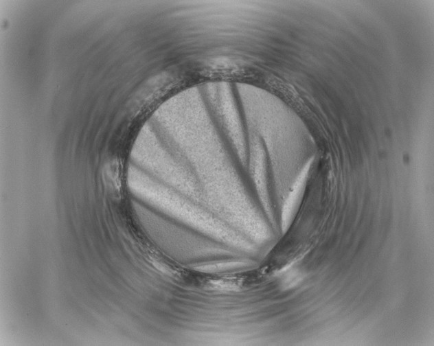 X0000059240232200511041316