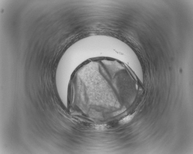 X0000059240233200511041316