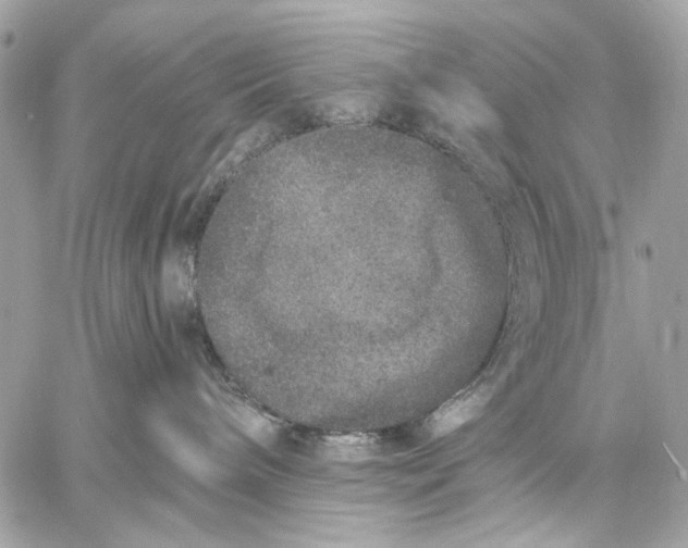 X0000059240240200511041316