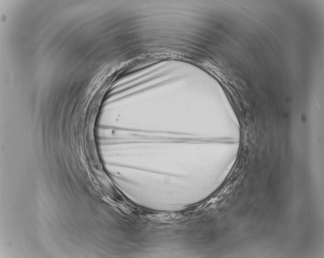 X0000059240241200511041315