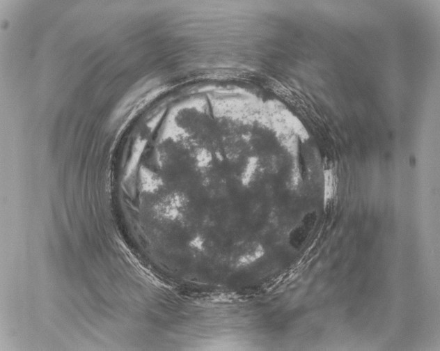 X0000059240243200511041315