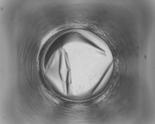 X0000059240246200511041315