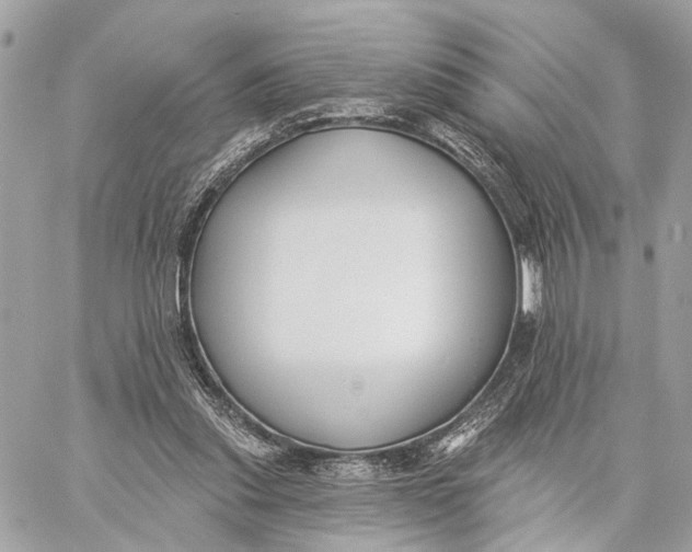 X0000059240253200511041315