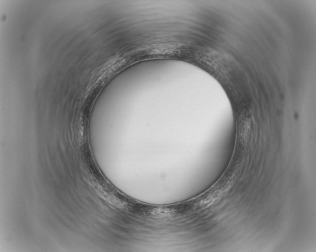 X0000059240261200511041315
