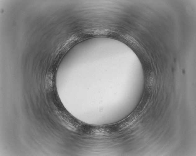 X0000059240264200511041315