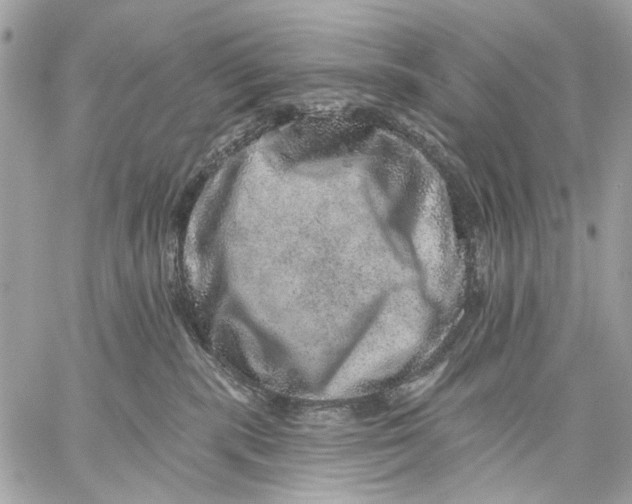 X0000059240283200511041316