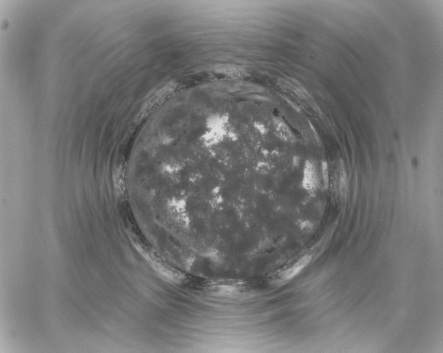 X0000059240285200511041316