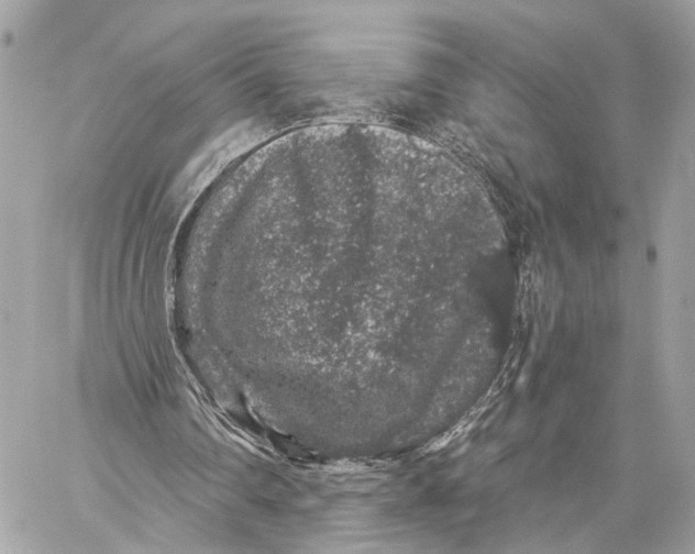 X0000059240290200511041315
