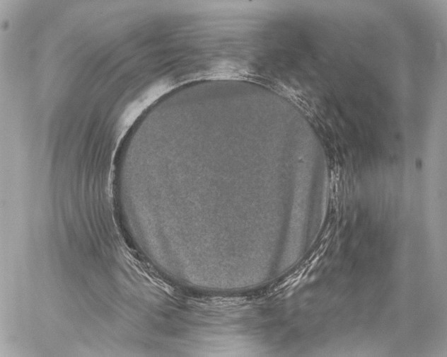 X0000059240292200511041315