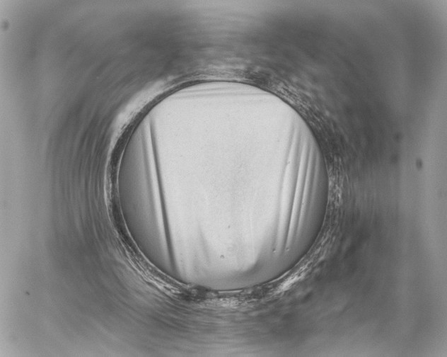 X0000059240294200511041315