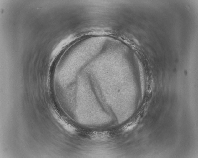 X0000059240296200511041315