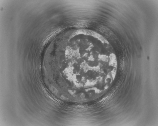 X0000059240303200511041315