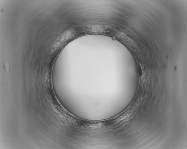 X0000059240306200511041315