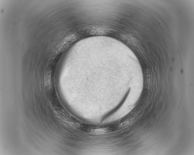 X0000059240312200511041314