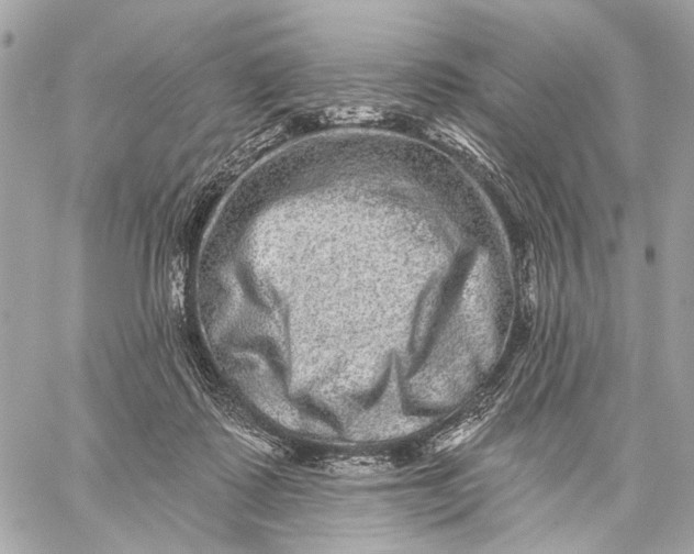 X0000059240315200511041314