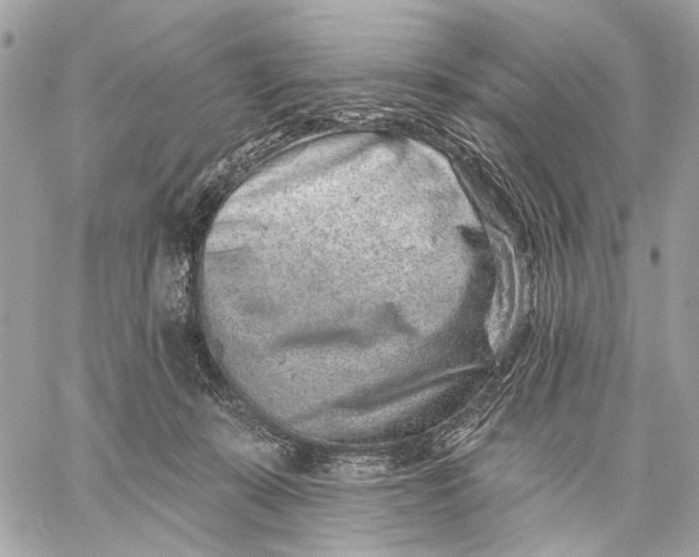 X0000059240319200511041314