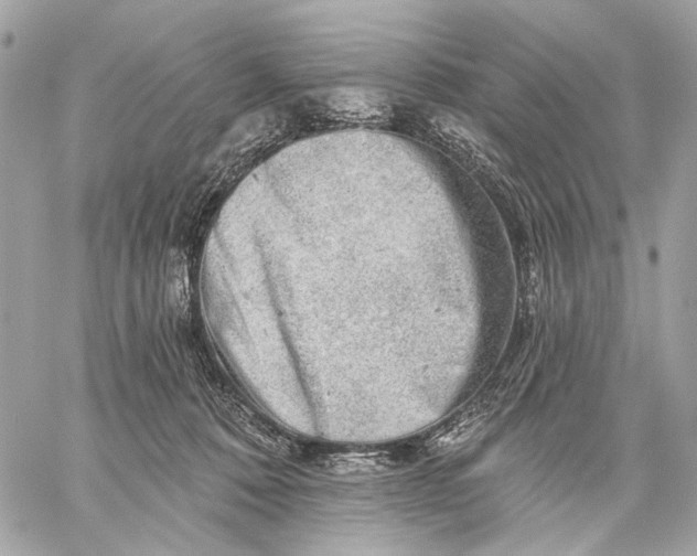 X0000059240320200511041314