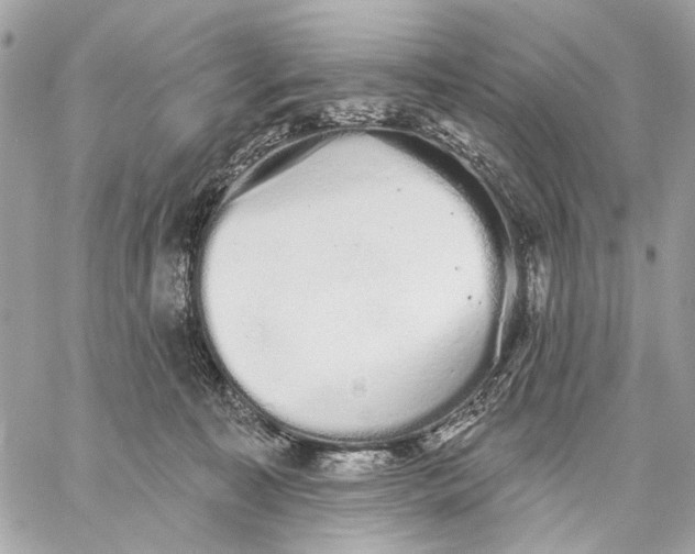 X0000059240323200511041314
