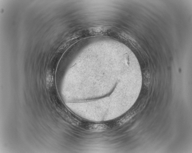 X0000059240324200511041314