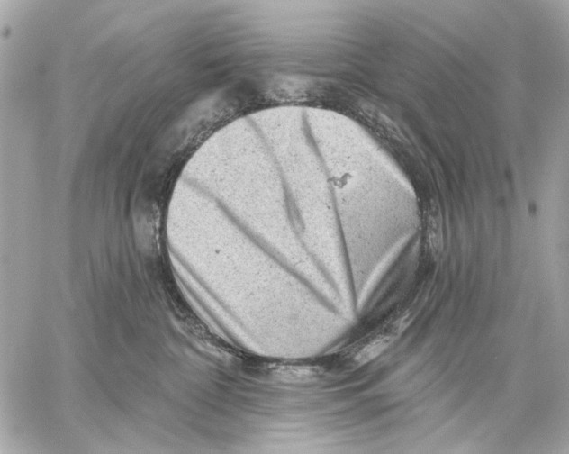 X0000059240332200511041314