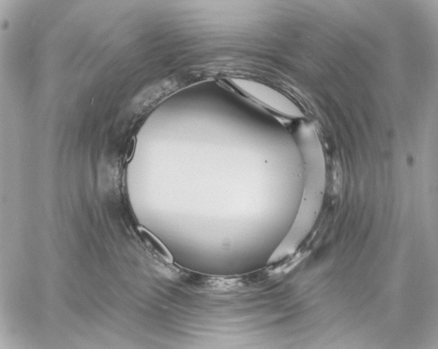 X0000059240333200511041314