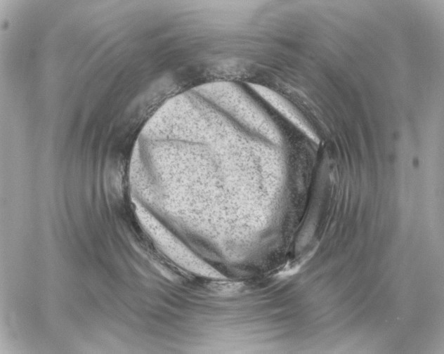 X0000059240334200511041314