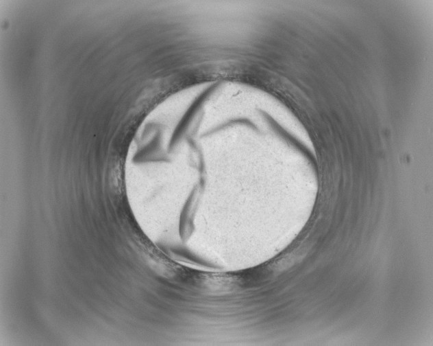 X0000059240336200511041314