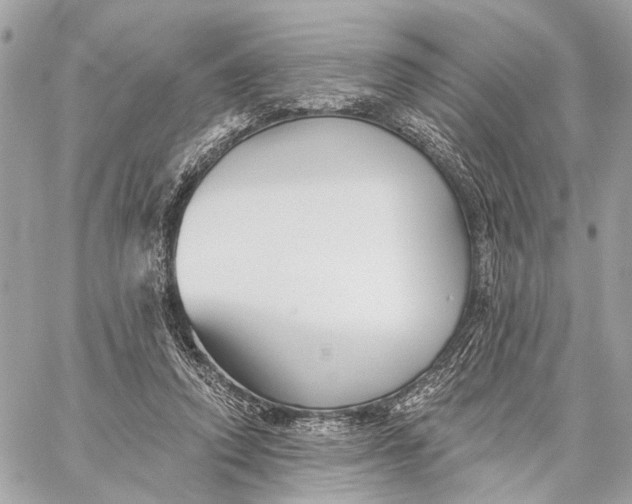 X0000059240354200511041313