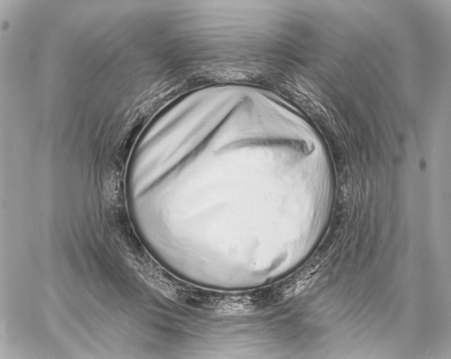 X0000059240359200511041314