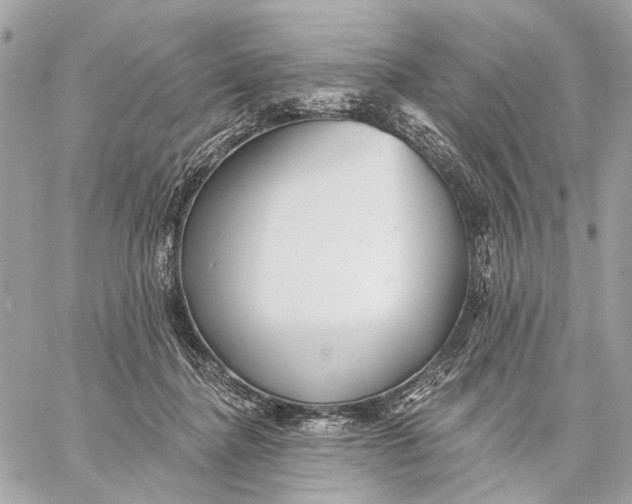 X0000059240364200511041314