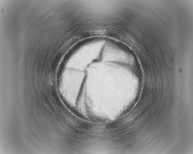 X0000059240374200511041314