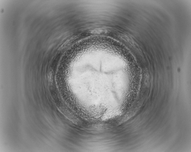X0000059240375200511041314