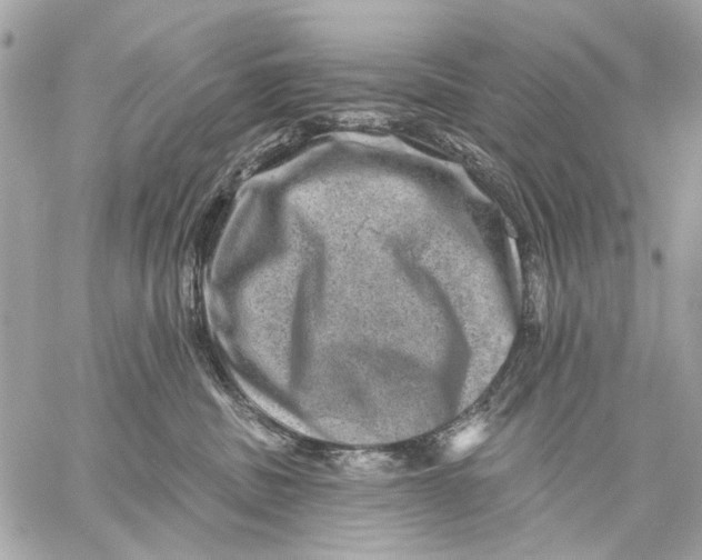 X0000059240379200511041314