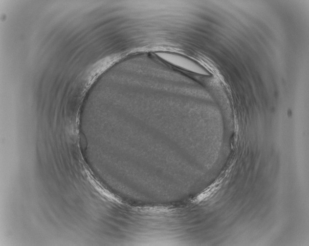 X0000059240389200511041313