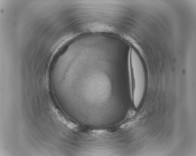 X0000059240391200511041313
