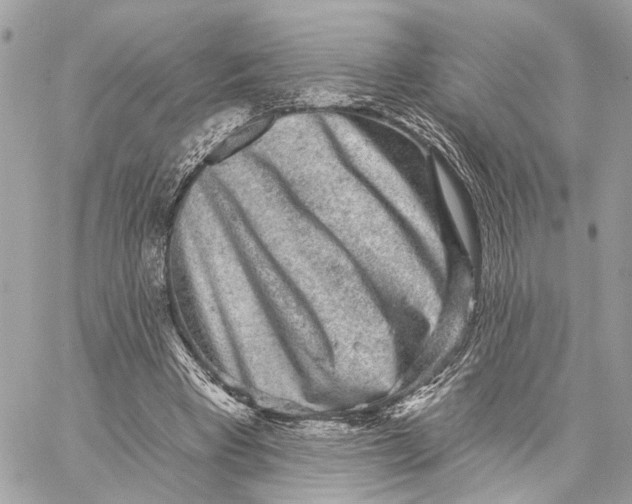 X0000059240393200511041313