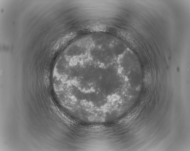 X0000059240402200511041313