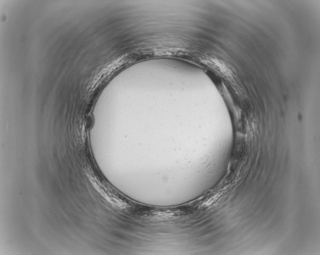 X0000059240405200511041313