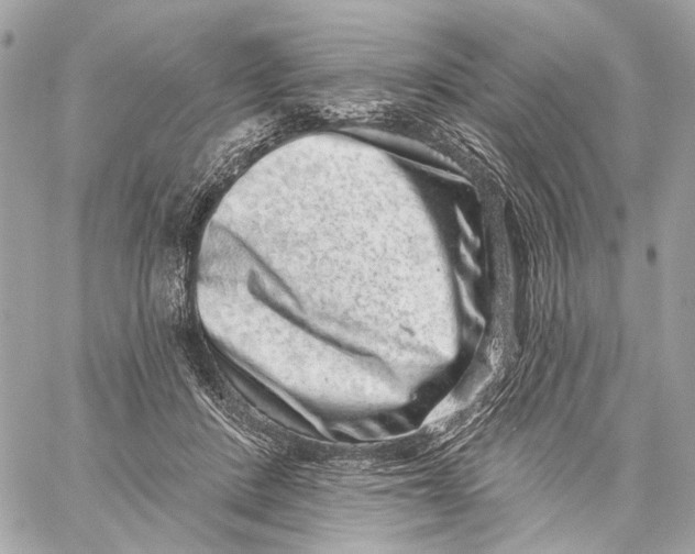 X0000059240408200511041313