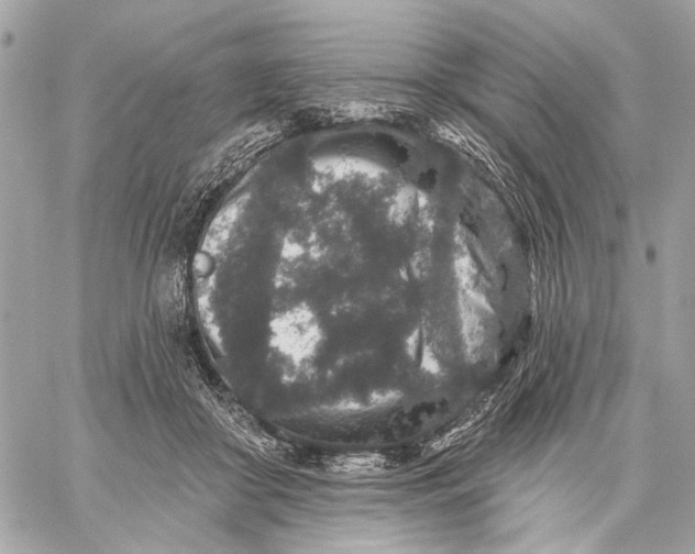 X0000059240410200511041313