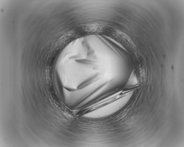 X0000059240416200511041313