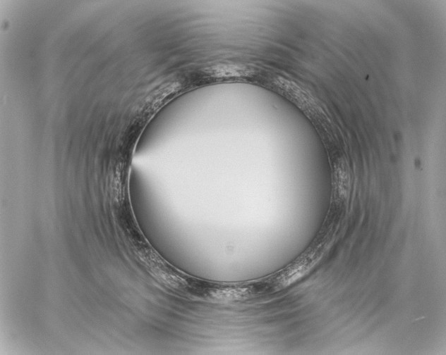 X0000059240422200511041312