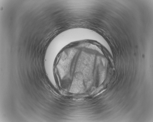 X0000059240428200511041312