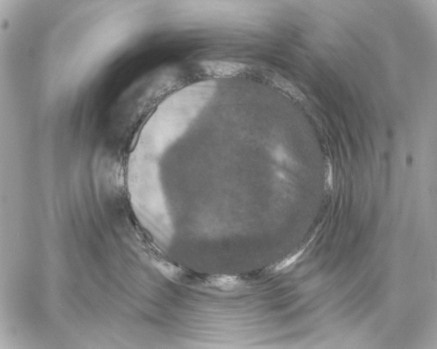 X0000059240431200511041312