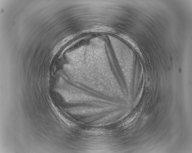 X0000059240437200511041312