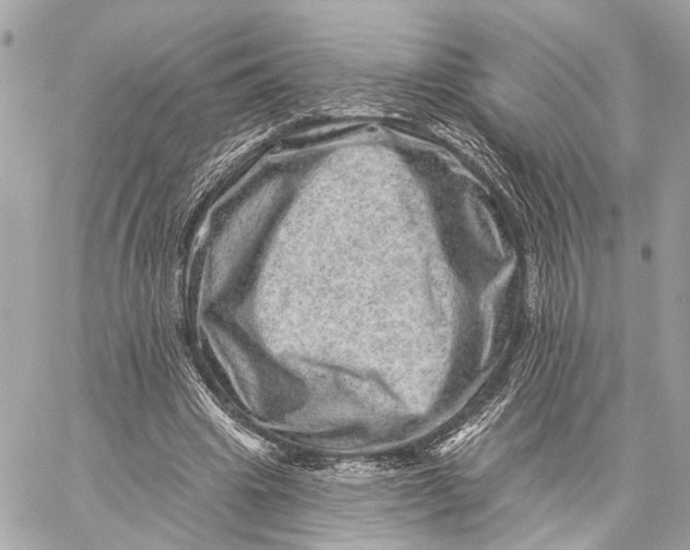 X0000059240441200511041312