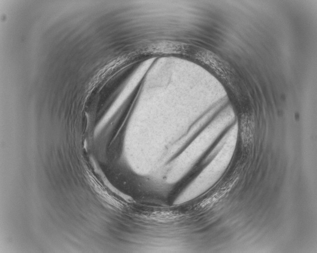 X0000059240445200511041312