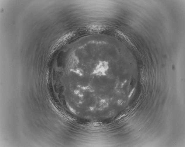 X0000059240451200511041312