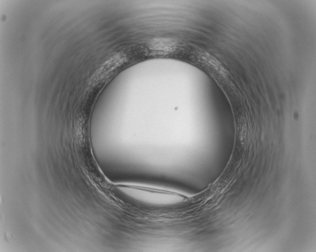X0000059240455200511041312